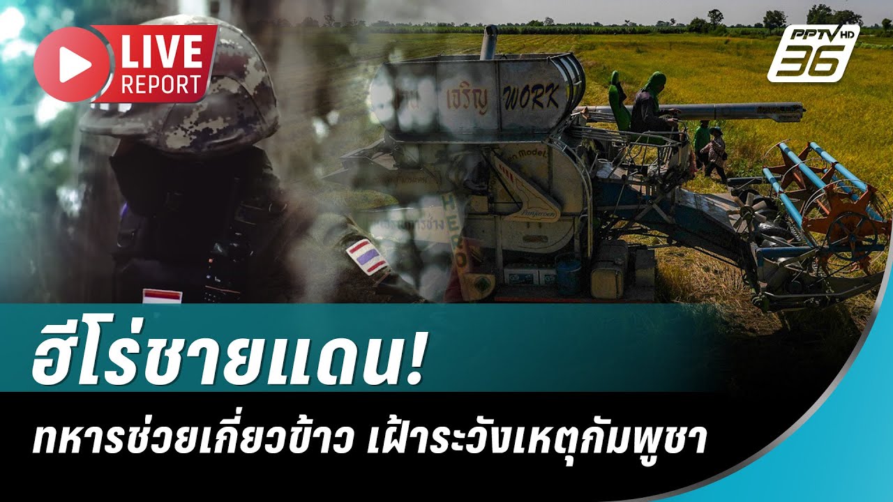 🔴 LIVE: ทหารช่วยเกี่ยวข้าว หลังชาวบ้านไม่กล้าออกนา เ?