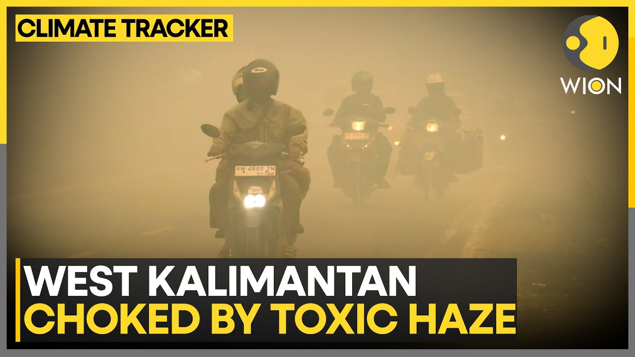 Haze Crisis Sends Residents Seeking Oxygen | WION Climate Tracker