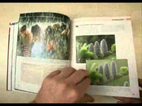 Traumflieger.de - Das Profi-Handbuch zur Canon EOS 500D