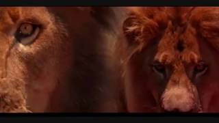 Afrique Adieu Lyrics English Translation