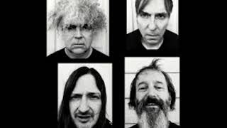 Melvins - Moving to Florida