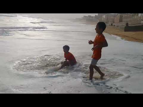 turtle beach (27 july 2024)