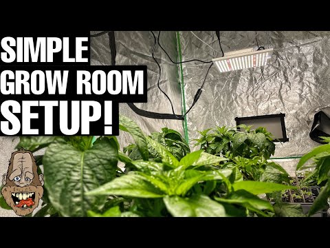 My Super Easy Indoor Grow Room Setup!