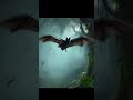 bat flying sound #wildanimals #bat #soundeffects #animal​  #wildlife #nightlife​ #night #nocturnal