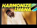 Harmonize Ujana Official Lyrics Video