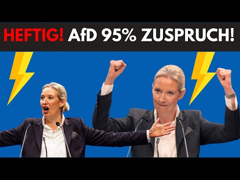 HEFTIG!!! AfD mit 95% Zustimmung für Grenzpläne 💥 AfD auf Siegeskurs!💥Merz kopiert Grenzpolitik!⚡️
