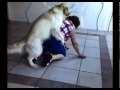 Doggy Style Love