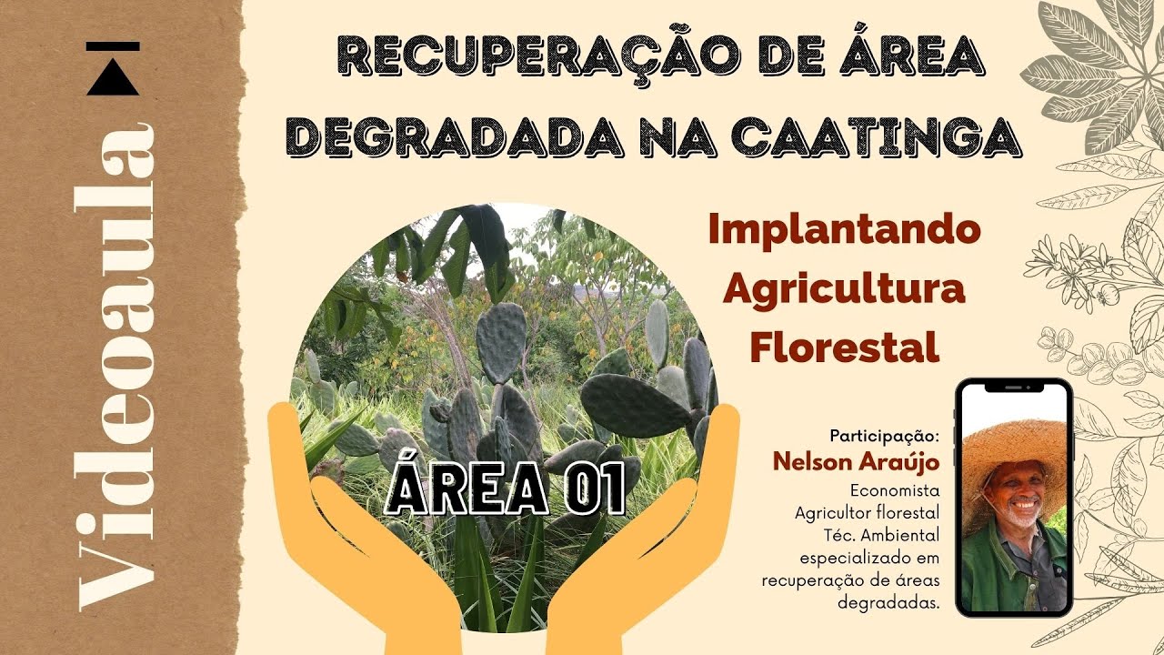 ÁREA 01 - Recuperação de Área Degradada na Caatinga Implantando Agricultura Florestal