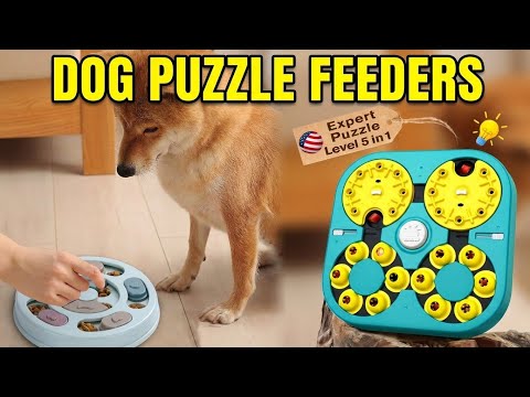 Best Dog Puzzle Feeders 2026: Top 5 Interactive Toys for Boredom & IQ!