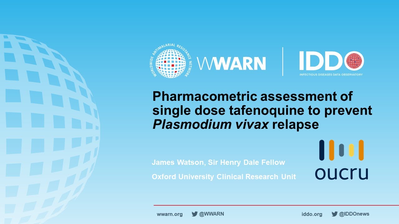 Pharmacometric assessment of single dose tafenoquine to prevent Plasmodium vivax relapse