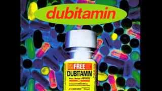 Sunshine Dub- Vibe Tribe Sound System