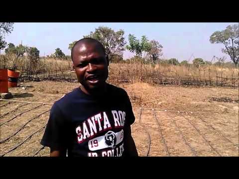 Tisung Farmers Demonstration Garden Project by Abdul-Razak