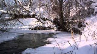 preview picture of video 'seica mare peisaje de iarna.wmv'