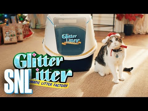 Cut for Time: Glitter Litter Automatic Litter - SNL