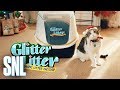 Cut For Time Glitter Litter Automatic Litter SNL