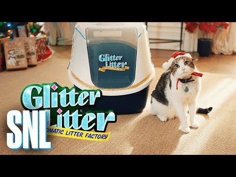 SNL - Glitter Litter Automatic Litter Factory