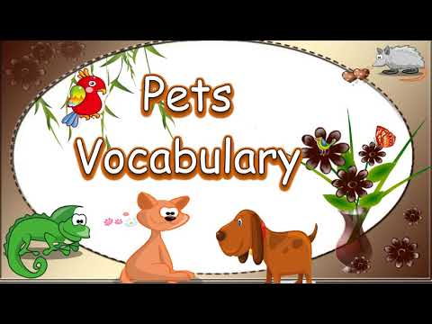 Learn Names of Pets for Kids -Kindergarten and Preschool