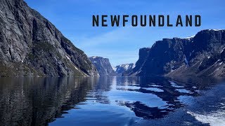 11 Day Road Trip in Newfoundland