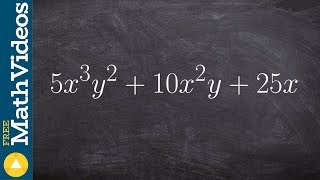 Videos Factor The Expression X 4 X 3 6x 2 4x 8 Snapxam