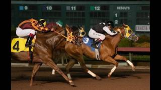 Los Alamitos Race Replays & Full Card Stream - Saturday, August 8