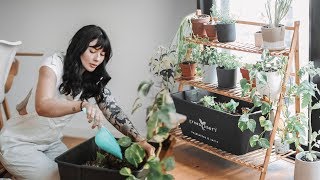 productive Sunday routine || indoor plants & zero waste DIY