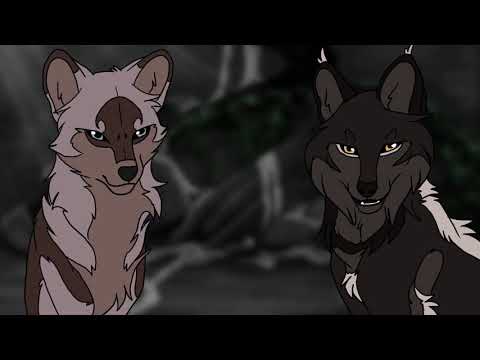 Ask Whitefall [Episode 1]