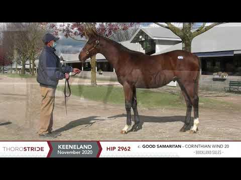 HIP 2962 | Keeneland November Breeding Stock Sale 2020
