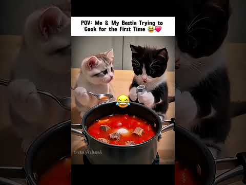١٥ تشرين الأول ٢٠٢٦