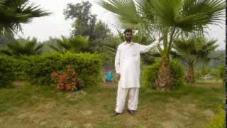 Download lagu Zafar iqbal zafri.mpg mp3 Download lagu Zafar iqbal zafri.mpg mp3