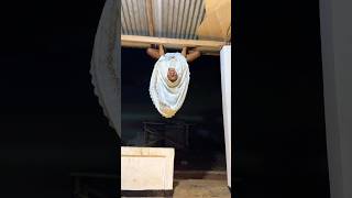 Download lagu Hantu Kesepian mp3 Download lagu Hantu Kesepian mp3