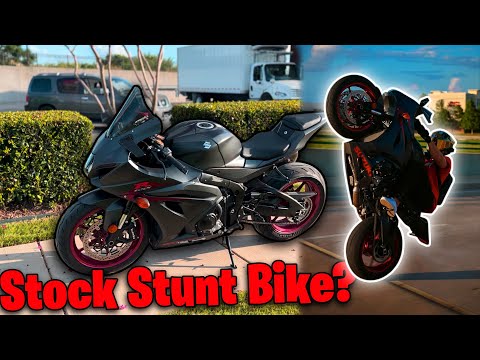 Gsxr-1000 Does it all