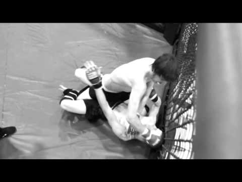 Stellar Fights 20 Highlights