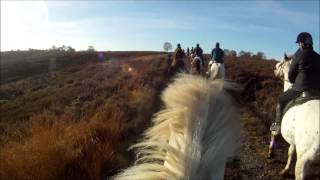 preview picture of video 'Cannock Chase Trekking Centre 18 November 2012 GoPro HD 1080p'