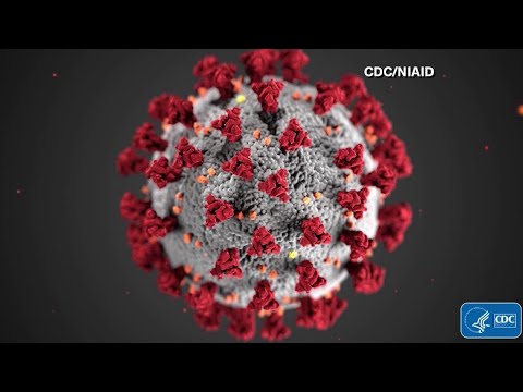 CT  A More Contagious COVID–19 Strain Discovered