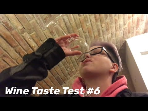 Wine Tasting at Vinařství Fučík in Mikulov, Czechia 🇨🇿