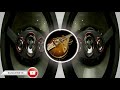 Rock Music YouTube Audio World Music Audio Library Music Instrumental