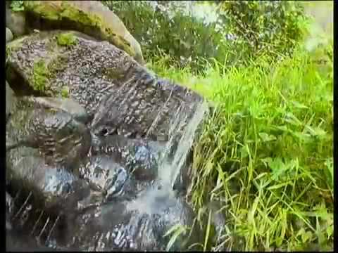 Jamais te laisser de yolande valton