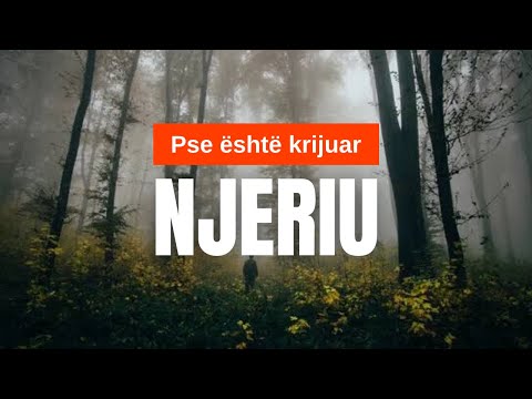 Pse është krijuar njeriu?
