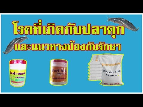 โรคผิวหนังภูมิแพ้, อาการคัน กลากระหว่างนิ้วมือ