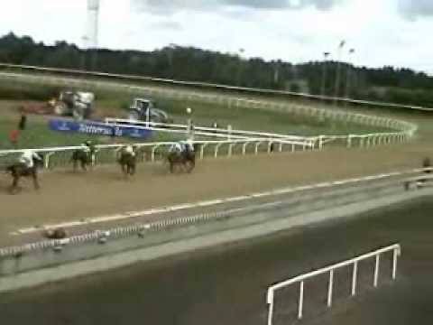 Mad Dog Slew Jägersro 06