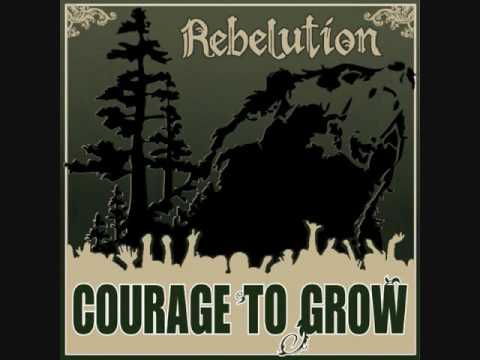 Rebelution- Heart Like A Lion