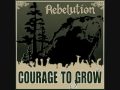 Rebelution- Heart Like A Lion 