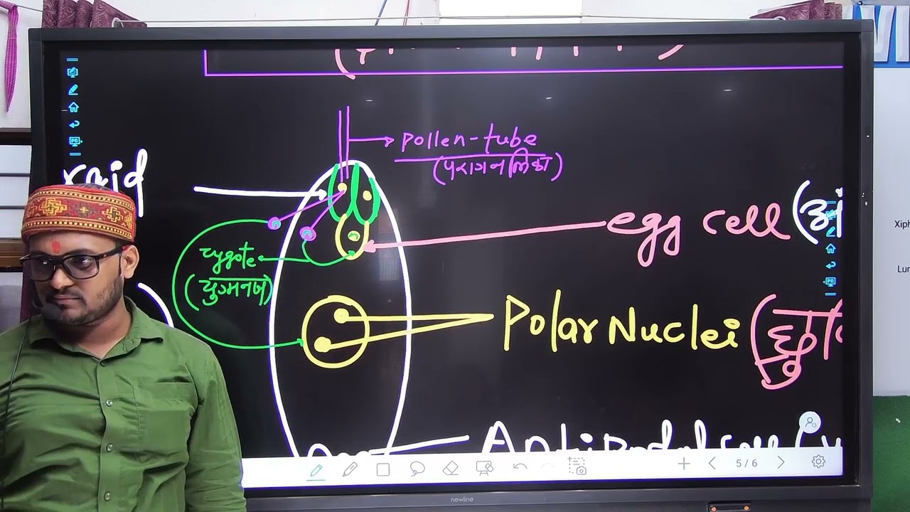 DOUBLE FERTILIZATION \FULL VIDEO \\BY-G.K.MISHRA\ VIDYA CLASSES OF BIOLOGY \\ CHAPTER-2 \\CLASS-12TH