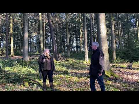 Forst Fakt Freitag: Waldknigge