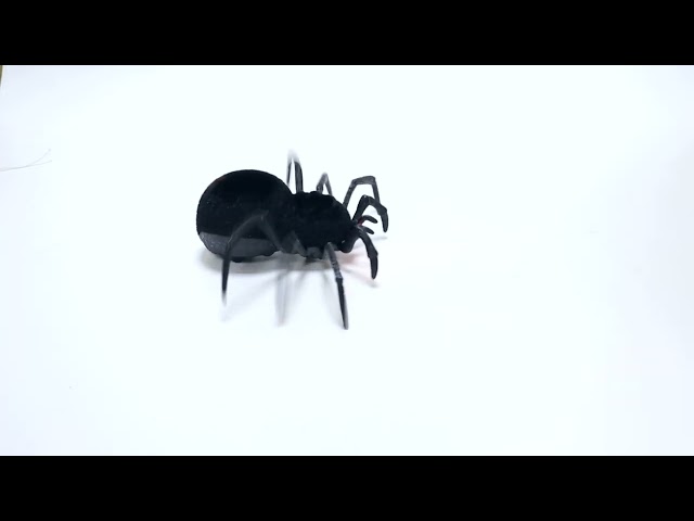 Паук Lanson Toys со световыми эффектами на радиоуправлении 12см с 3лет - видео