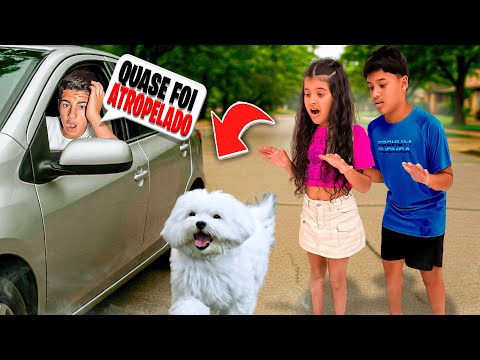 CUIDAMOS DE UM CACHORRO PERDIDO POR 24 HORAS *escondemos em 🏠