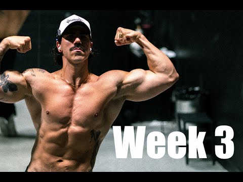 Body Building Journey | Week 3