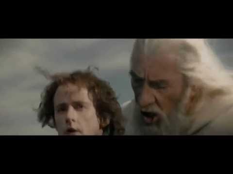 Look at Gandalf's amazing horse