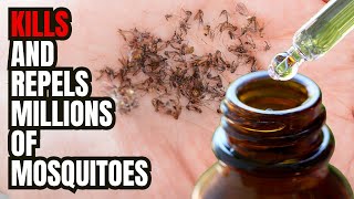 KILL AND REPEL All Mosquitoes In Your Yard | Safe Effective Plant Based Mix