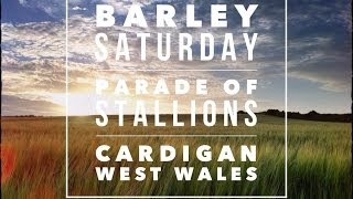 preview picture of video 'Barley Saturday Stallion Parade | Cardigan West Wales'